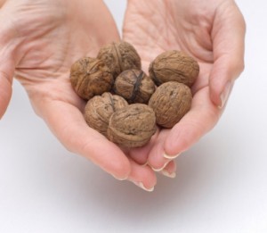 Image of Handful of Nuts