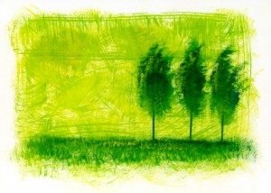 Image of Trees on a Green Field