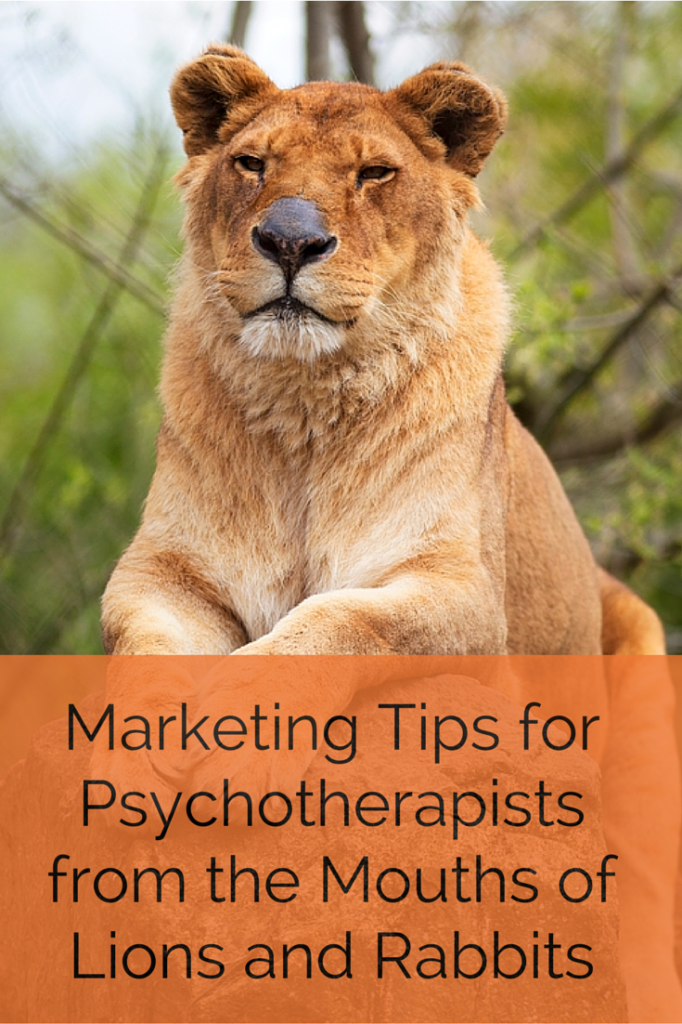 Marketing Tips for Psychotherapists from the Mouths of Lions & Rabbits